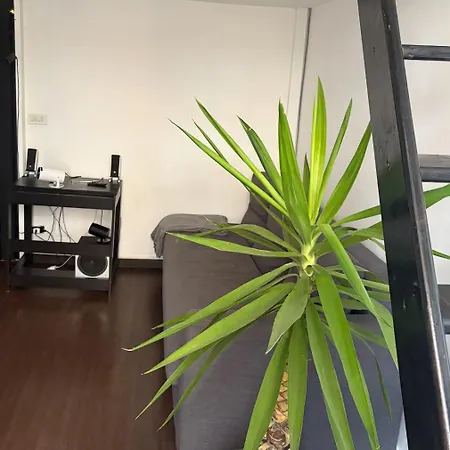 Apartment Chill Out *